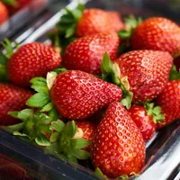 Cum poți să îți dai seama care sunt cele mai delicioase și bune căpșuni? Kilogramul costă 40 lei Foto: Pexels (fotografie cu caracter ilustrativ)