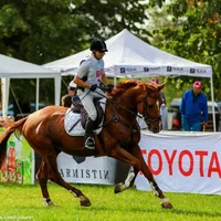 Karpatia Horse Show - Foto: Karpatia Horse Show/ Imagine cu caracter ilustrativ