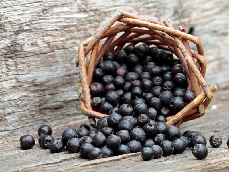 Fructul din spatele casei ce te scapă de artrită. Detoxifică și slăbește instant. Mănânci cu pumnul - Foto: Freepik (imagine cu rol ilustrativ)