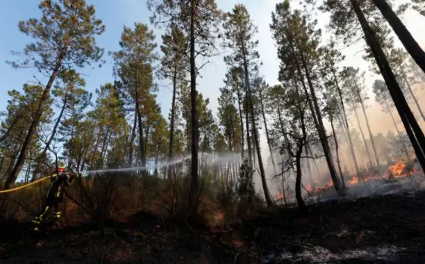 Incendiul de pe Coasta de Azur nu este sub control, pompierii avertizează că vântul se intensifică/FOTO: Agerpres