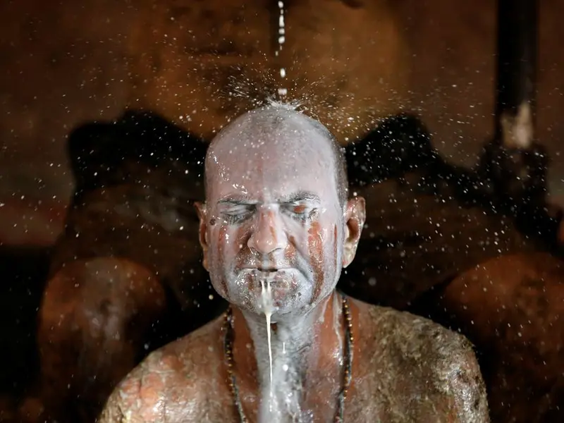 „Terapie” anti-COVID cu bălegar și urină de vacă, în India. Medicii avertizează că e periculos. / Foto: reuters.com