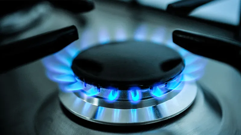 Parlamentul a aprobat înfiinţarea unei comisii de anchetă pe tema preţurilor gazelor și energiei. / Foto: playtech.ro