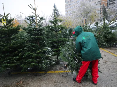Brazi Crăciun - FOTOInquam Photos / Stefan Constantin