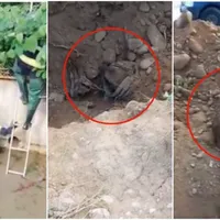 Cățel, captiv  de 24 de ore într-o conductă, salva - Foto: Facebook