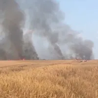 Lan de grâu în flăcări, la Arad - Foto: Aradon