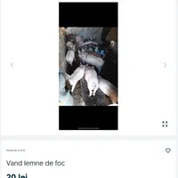 Porcii de Crăciun sunt vânduți pe internet sub denumirea de „lemne de foc””. La ce prețuri sunt Foto: captură olx.ro