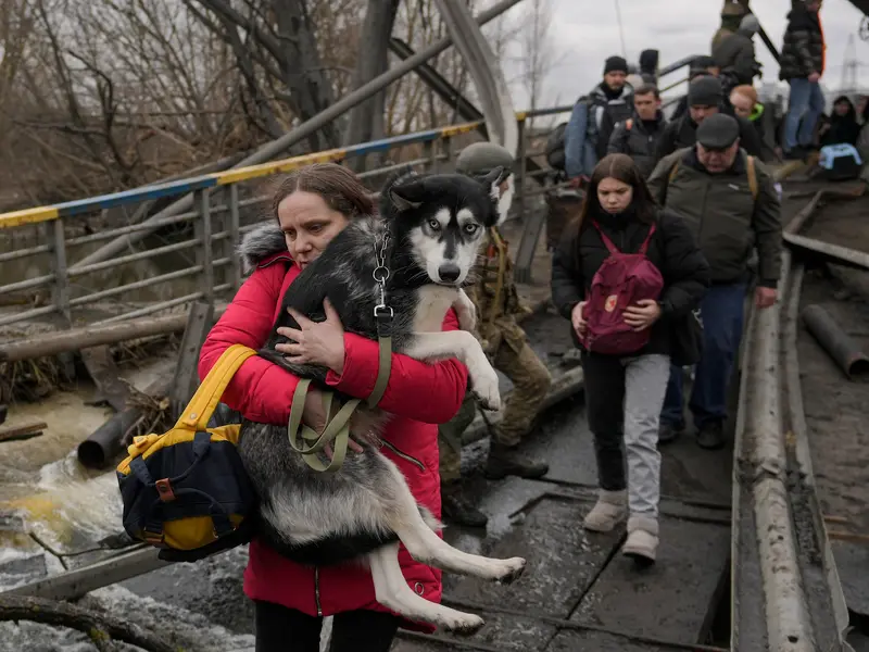 Ucrainenii fug din bătaia bombelor lui Putin și își salvează și prietenii necuvântători. /Foto: abc7chicago.com