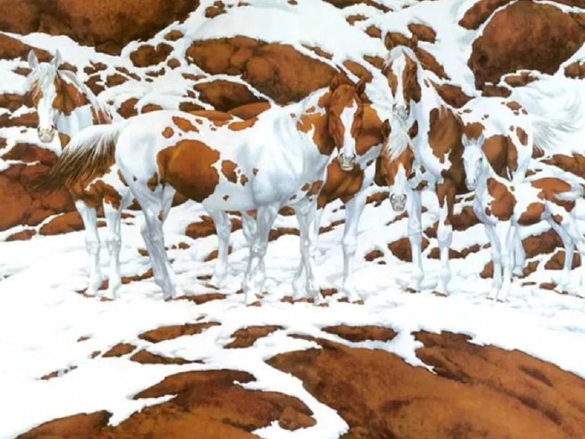 Iluzie optică Foto: Bev Doolittle
