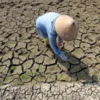 Cine va plăti factura schimbărilor climatice. - Foto: Profimedia