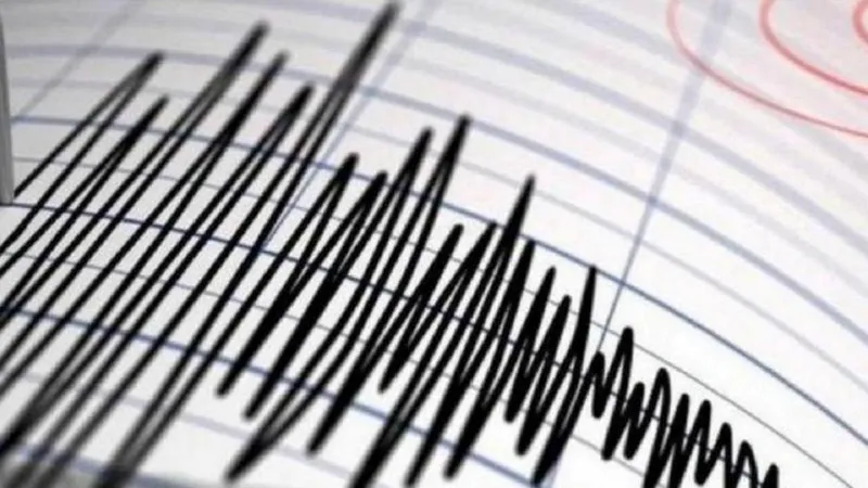 Seismograf - Foto: Pexels Pixabay