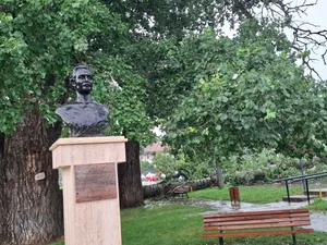 Unul dintre plopii fără soț care l-au inspirat pe Mihai Eminescu a fost doborât de o furtună Foto: ISU Iași