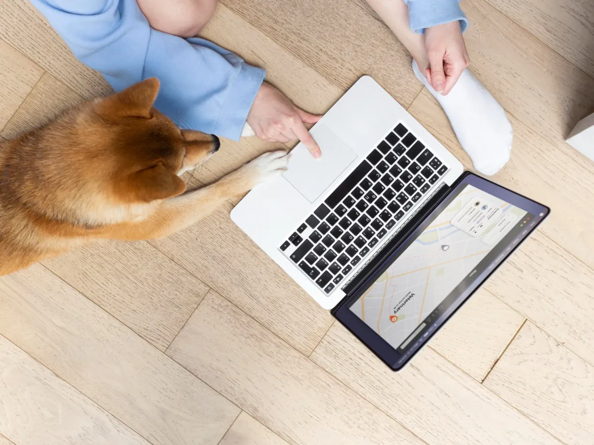 Câine care stă lângă laptop - Foto: Freepik (Imagine cu rol ilustrativ)