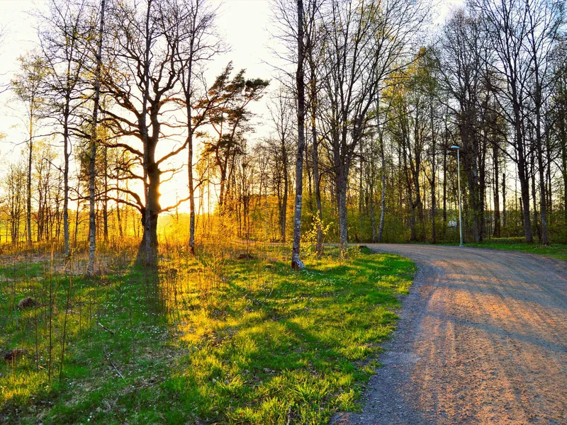 VREMEA Temperaturi de vară la sfârșitul lunii martie. La ce să ne așteptăm în perioada următoare Foto: Pexels (fotografie cu caracter ilustrativ)