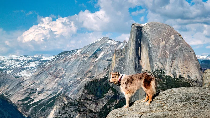Aventură în parcurile naționale, Parcul Național Yosemite