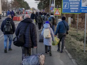 Soți prinși cu 1.400.000 de dolari ascunși pe corp în vama Siret. Ce au spus polițiștilor? - Foto: Arhiva