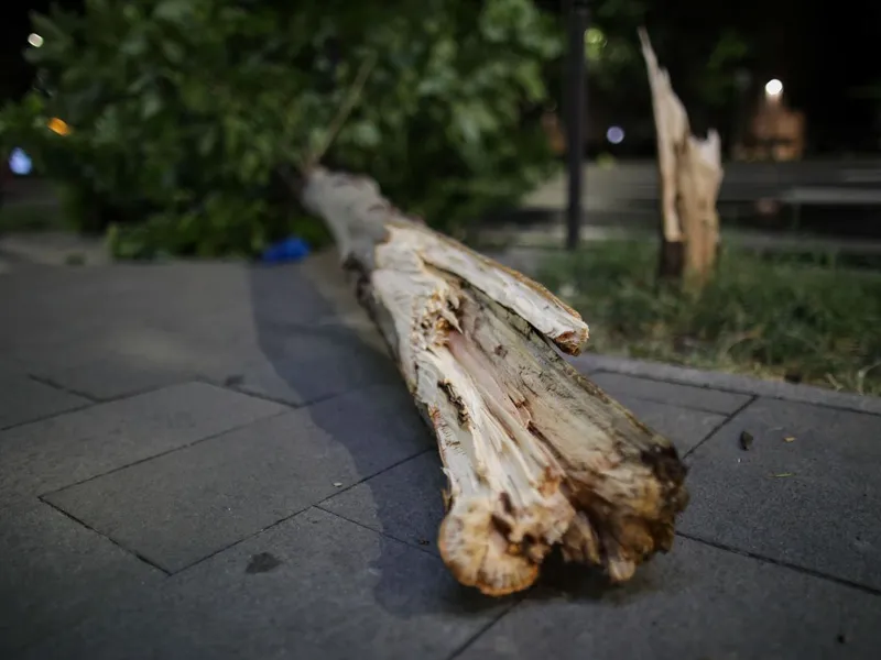 Furtuna de noaptea trecută a provocat daune în Giurgiu. Copaci, cabluri electrice și mașini avariate/FOTO: Inquam Photos / Octav Ganea