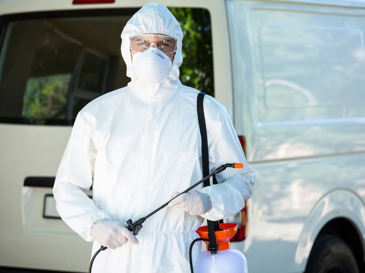 Toate școlile dintr-un sector din București, închise din cauza ploșnițelor. Au invadat și alte orașe - Foto: Profimedia Images/ Imagine cu caracter ilustrativ