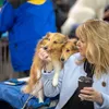 Numele ascuns care-ți schimbă viața: dacă îl dai câinelui tău, atragi norocul la bani în casă - Foto: Profimedia Images (imagine cu rol ilustrativ)