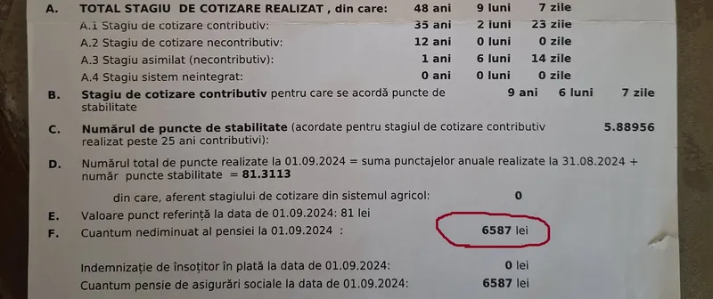 Decizie pensie - Foto: CNPP