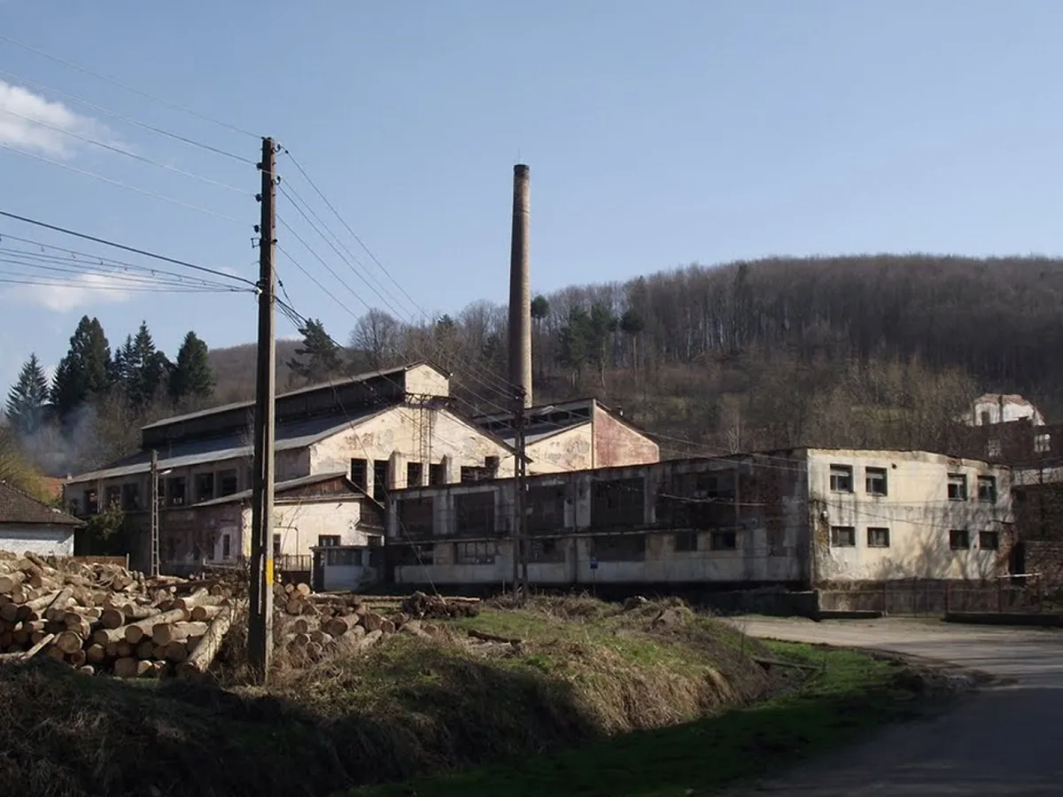Ruine fabrica sticla Padurea Neagra