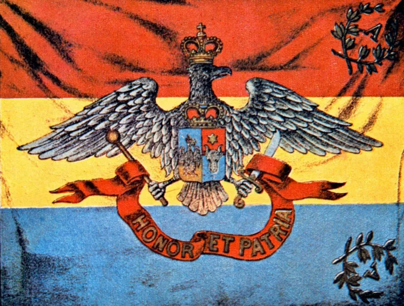 Drapel luptă 1863