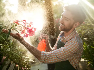 Flori - Foto: freepik