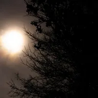Eclipsa de Soare - Foto: Magnific.com (Imagine cu rol ilustartiv)