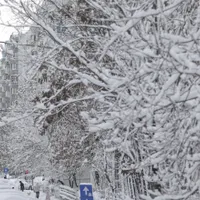 Meteorologii anunță ninsori și vânt în Capitală/FOTO: Inquam Photos/Octav Ganea