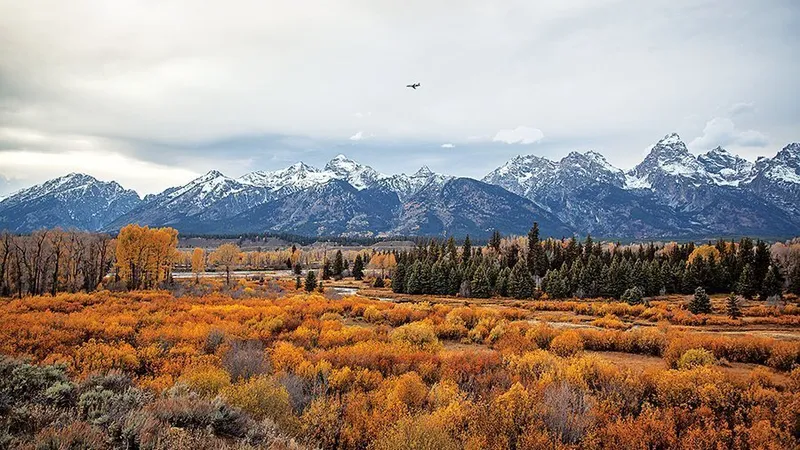 Aeroportul Jackson Hole