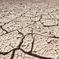 Alertă în România! Seceta pedologică afectează părți importante din țară. Ce spun specialiștii - Foto: Profimedia Images/ Imagine cu caracter