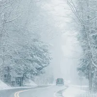 METEO Avertizare de cod galben de ceață în 4 județe din România! Vizibilitate redusă sub 50 de metri: FOTO - Pexels(imagine cu rol ilustrativ)