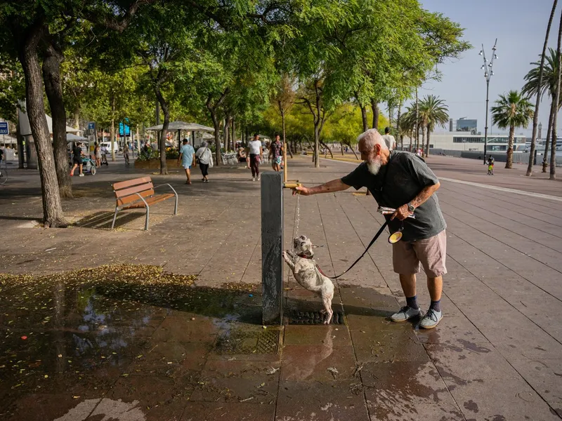 Canicula pârjolește Europa: Cod Roșu, în mai multe regiuni din Spania - Foto: Profimedia Images - Imagine cu rol ilustrativ