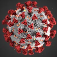 Noi cazuri de variola maimuței diagnosticate în România. Peste 3.000 de infectați/ Pexels - CDC