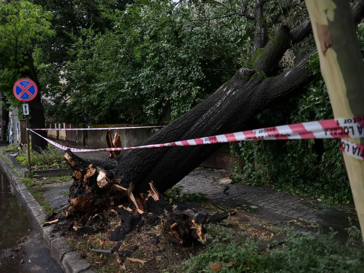 Furtunile au făcut prăpăd în România. Peste 27.000 de gospodării nu au curent electric