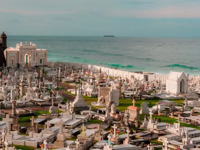 Cimitir - Foto: Pexels (Imagine cu rol ilustrativ)