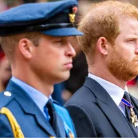 Prinții Harry și William- Foto: Profimedia Images