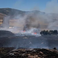 Evacuări în Turcia din cauza vântului puternic care împinge flăcările spre litoral la Marea Egee  - Foto: Profimedia Images (Imagine cu caracter ilustrativ)