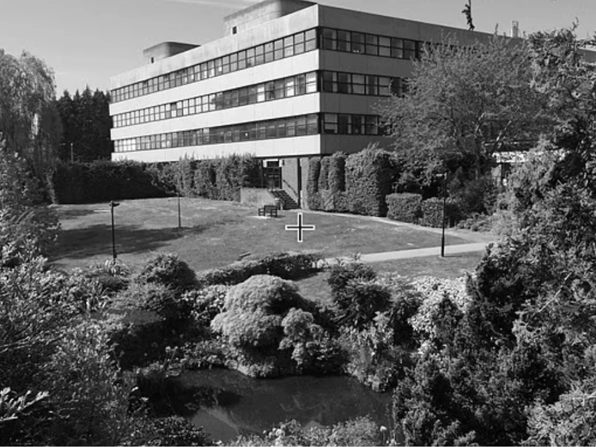 Fotografie Alb-negru - Foto: Daily Mail