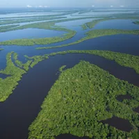 Amazonia - Foto: Profimedia Images
