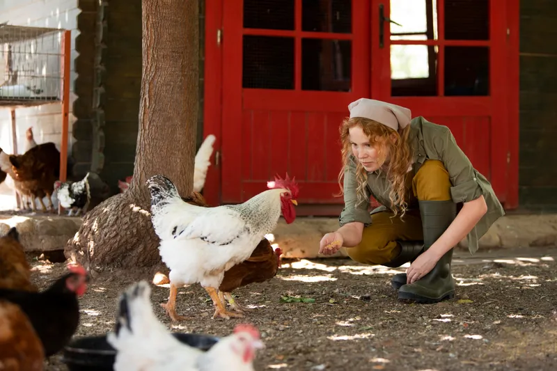 Persoană care hrănește găinile - Foto: Freepik (rol ilustrativ)