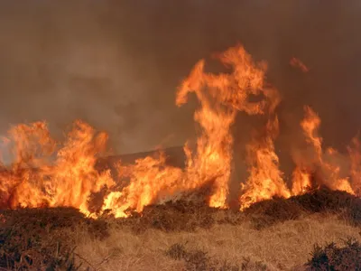 Incendiu violent de vegetație în Glina. Ard peste 12.000 de metri pătraţi de vegetație  - Foto: Arhivă / imagine cu caracter ilustrativ