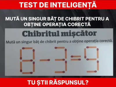 Test de inteligență. Chibritul mișcător Foto: Daniel Toșa