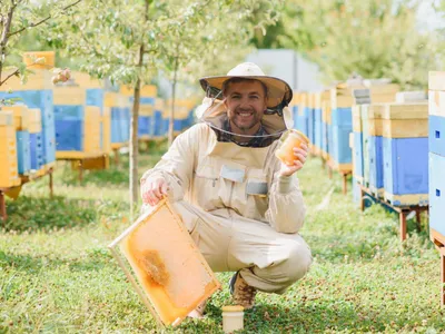 Inițiativă UDMR: apicultorii ar putea primi 15 euro pentru fiecare familie de albine, timp de trei ani - Foto: Freepik (Imagine cu rol ilustrativ)