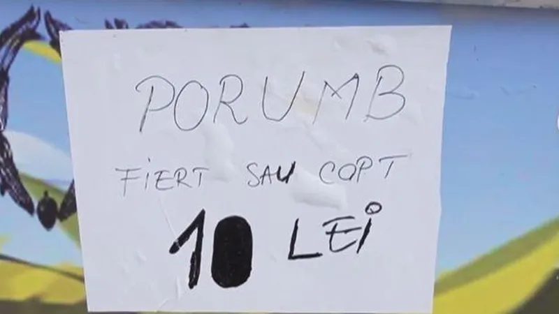 Preț Porumb - Foto: Știri de Cluj