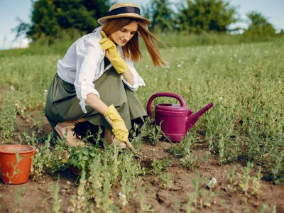 Femeie care plantează semințe în grădină - Foto: Freepik (Imagine cu rol ilustrativ)