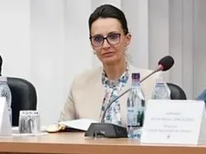 Şefa CSM, care vede scăderea pensiilor magistraţilor ca destabilizare, a câştigat în 2024 113.000 € - Foto: Reddit