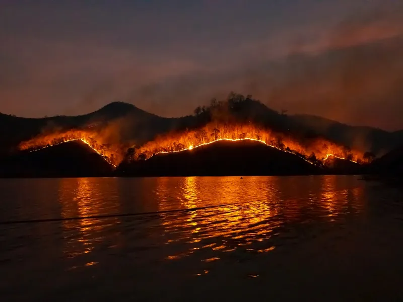 Incendiu de vegetație Foto: Pexels.com/ (Imagine cu rol ilustrativ)