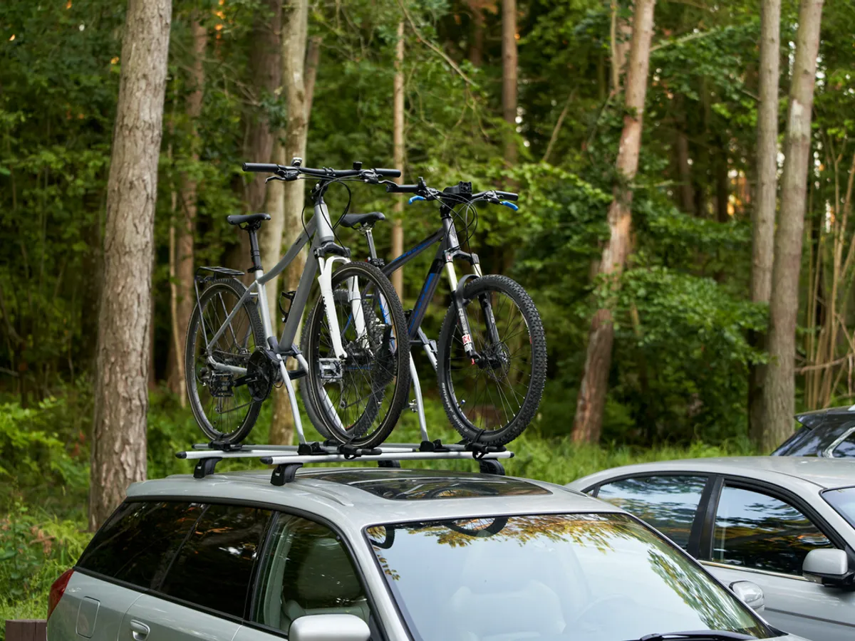 Suport pentru biciclete de acoperiș - Foto: magnific.com