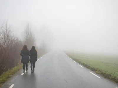 ANM: Cod galben de ceață și polei în 15 județe și București, vizibilitate redusă local sub 50 m - Foto: Freepik (Imagine cu rol ilustrativ)