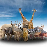 Ce animal va stăpâni Pământul după dispariția oamenilor - Foto: Profimedia Images - (Imagine cu rol ilustrativ)